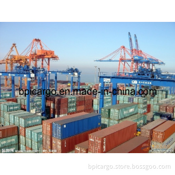 International Shipment by Sea From Shenzhen to Adelaide, Brisbane, Austrilia